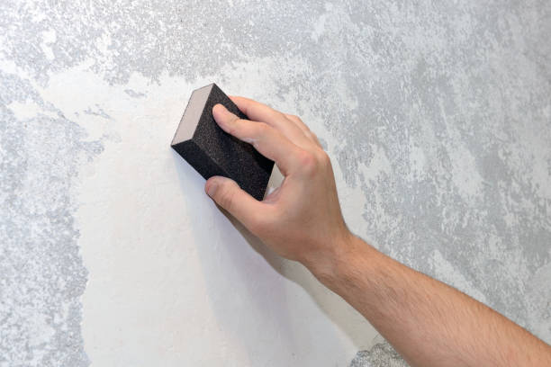 Best Mold Odor Removal Services  in West Hill, OH