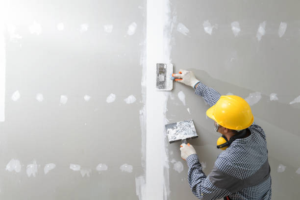 Best Mold Prevention Services  in West Hill, OH