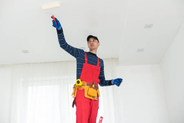 Best Asbestos and Lead Testing During Mold Inspection  in West Hill, OH