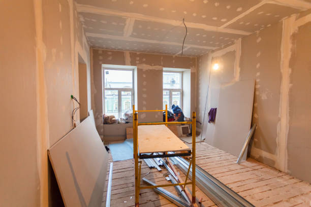Best Emergency Mold Remediation  in West Hill, OH